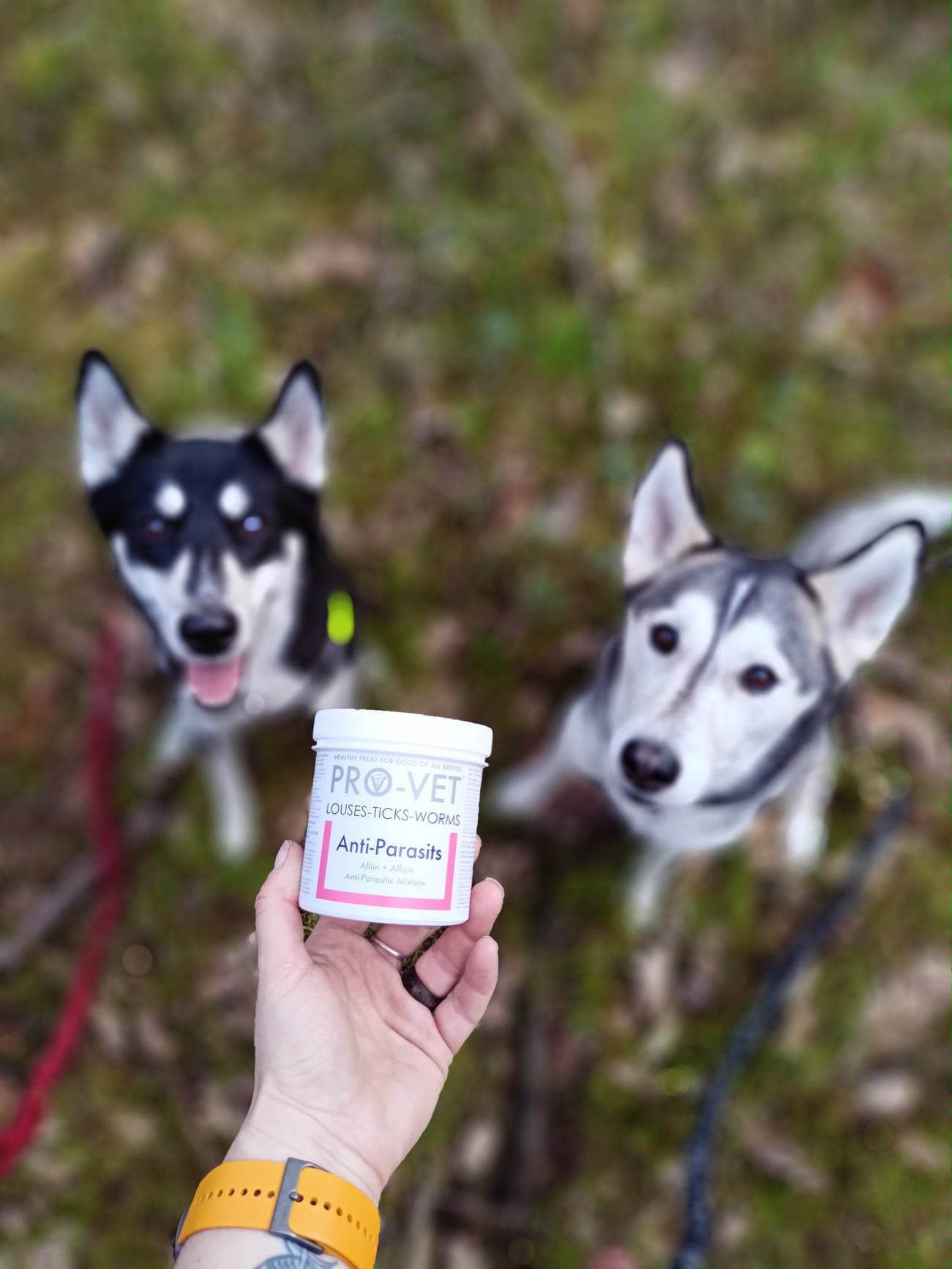 PRO-VET Anti-parasits - protecție naturală împotriva paraziților