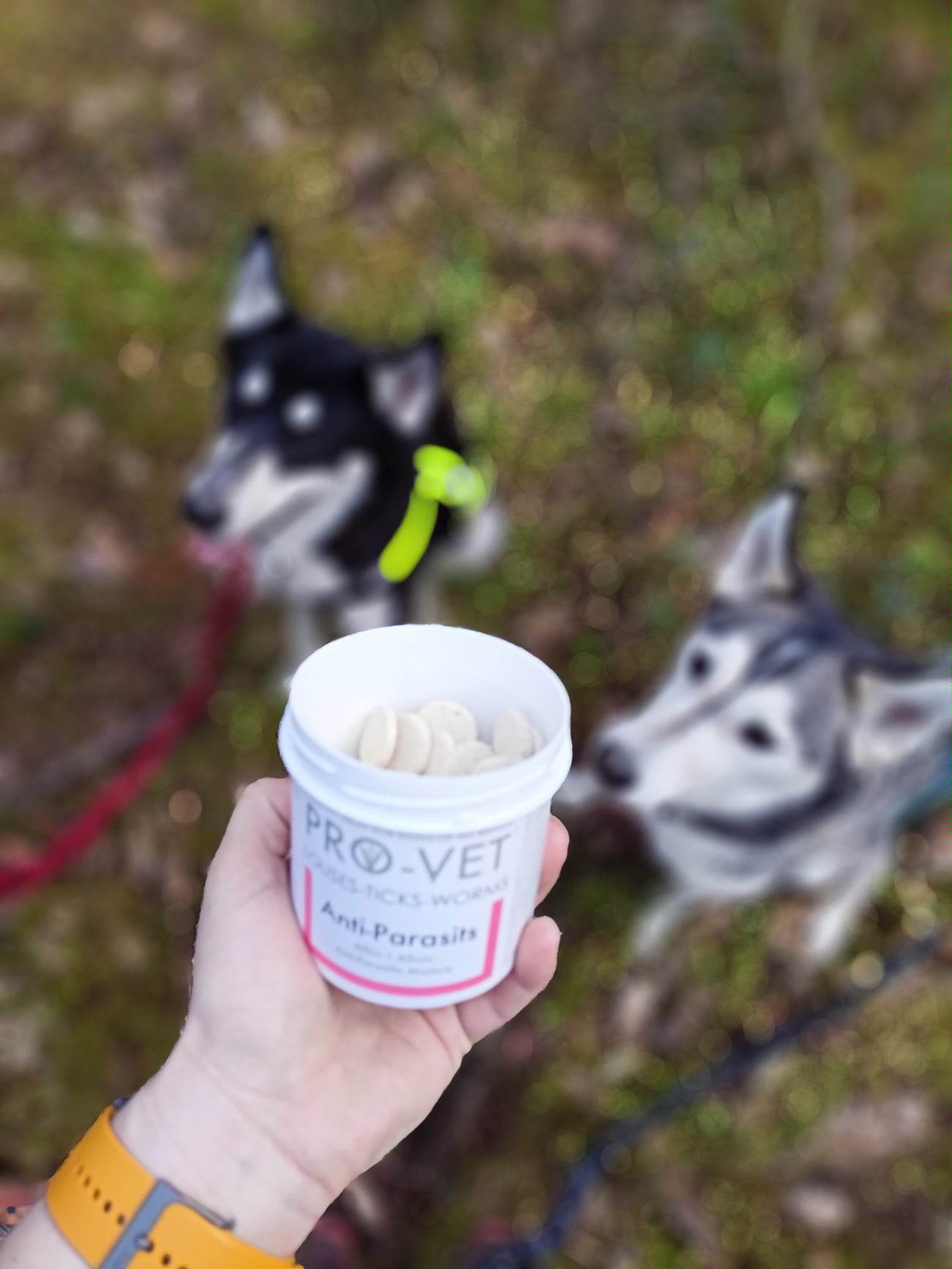 Administrare ușoară a pastilelor PRO-VET Anti-parasits